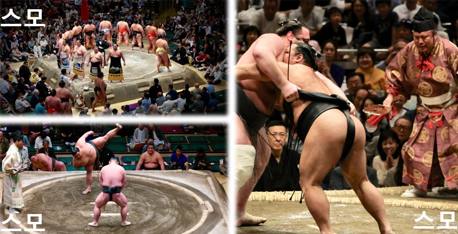 Sumo