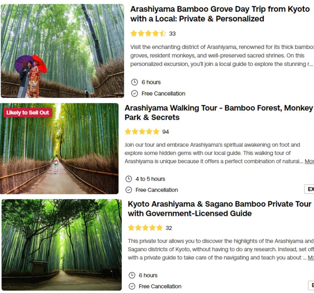 kyoto bamboo