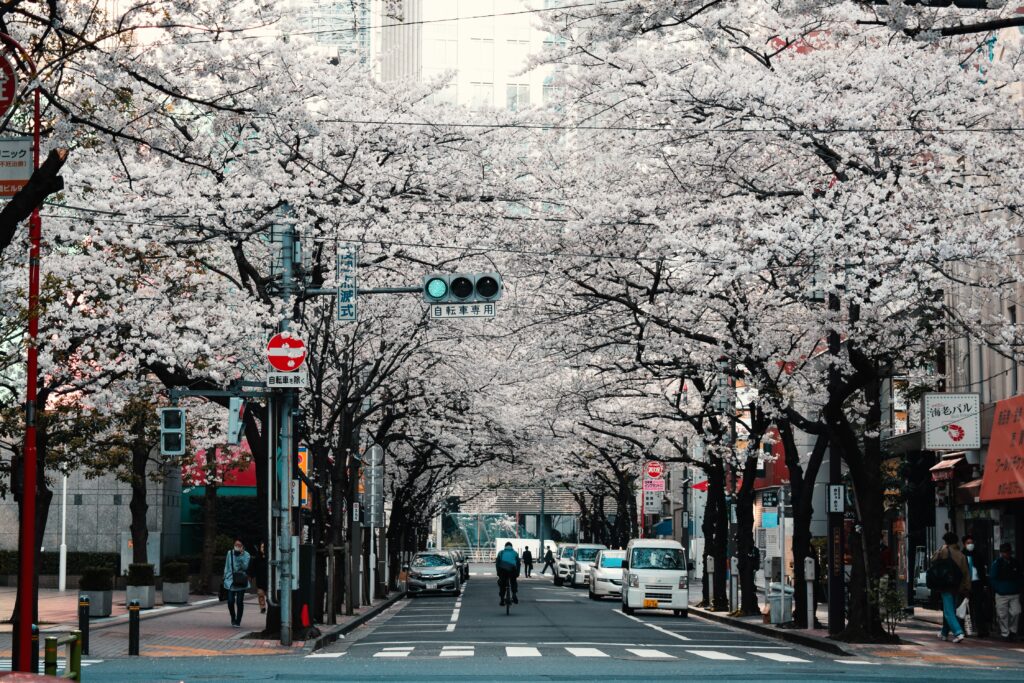 japan spring
