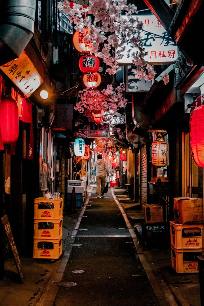 Hozenji Yokocho