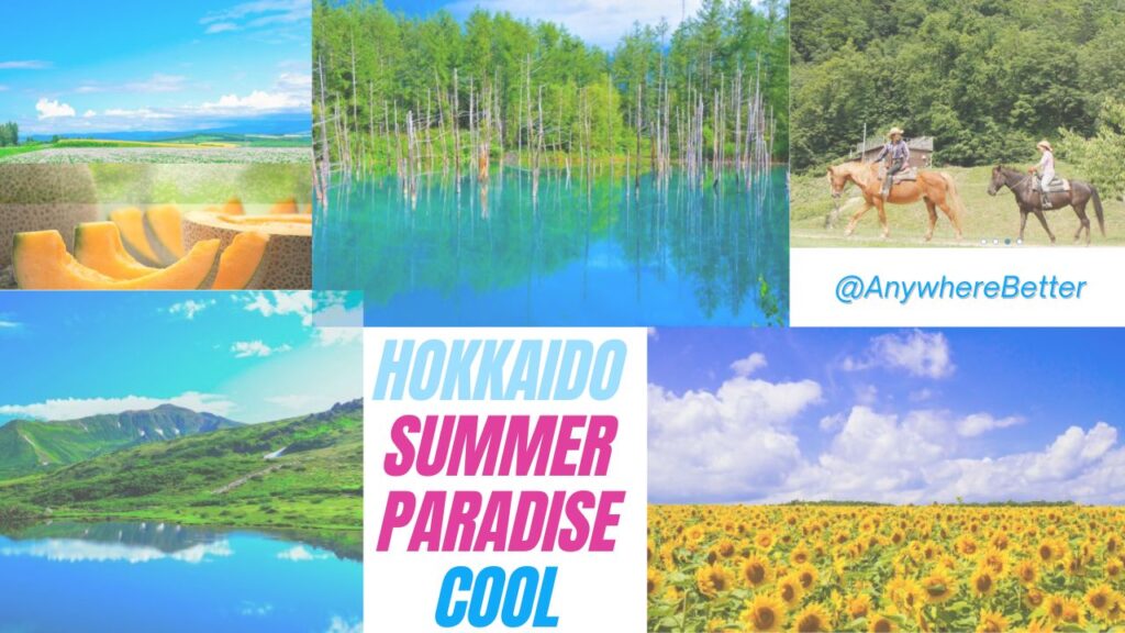 Hokkaido Summer